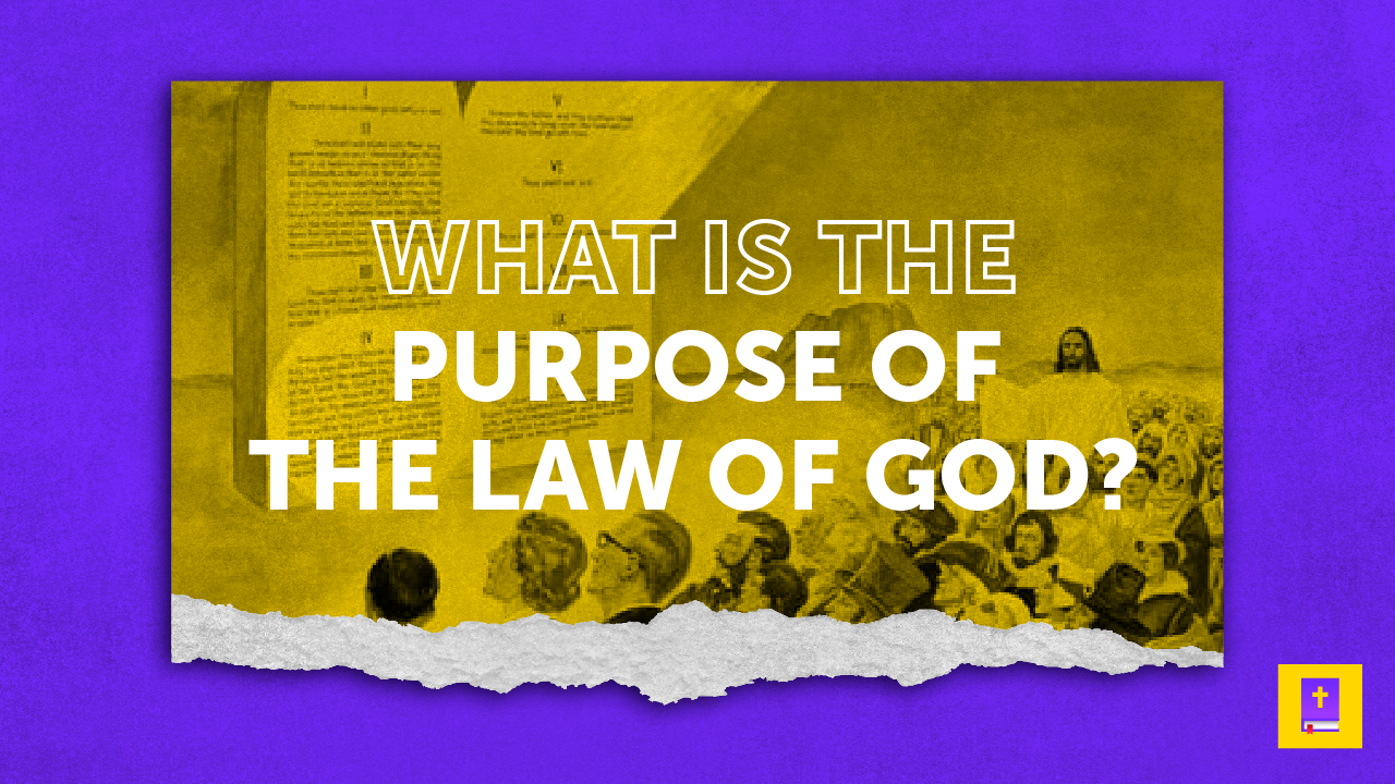 What Is The Purpose Of The Law